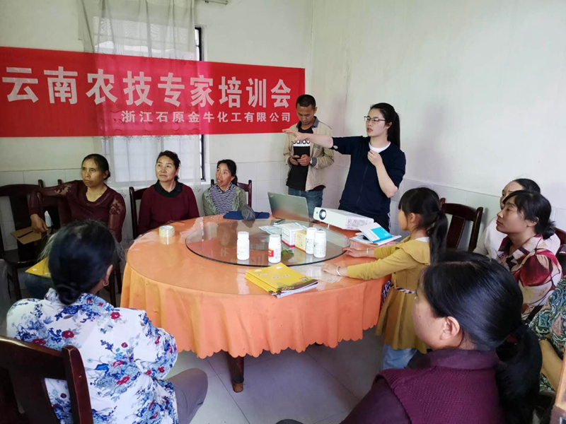 腳踏實地做推廣 持之以恒出業績 &mdash;&mdash;記石原金牛業務骨干項仰仰