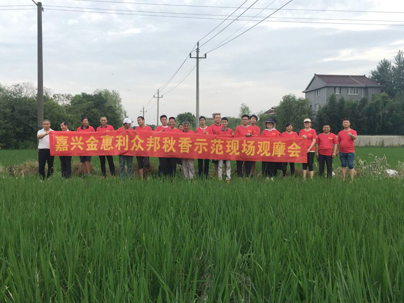 嘉興金惠利組織開展&ldquo;秋香&rdquo;除草劑觀摩會