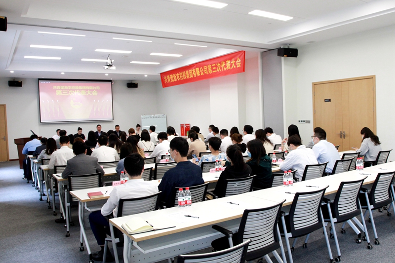 傳遞青春接力棒&mdash;&mdash;集團團委順利完成換屆選舉工作