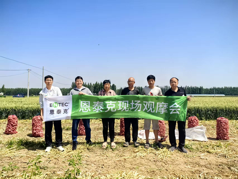愛普科技舉行恩泰克大蒜測產(chǎn)現(xiàn)場會