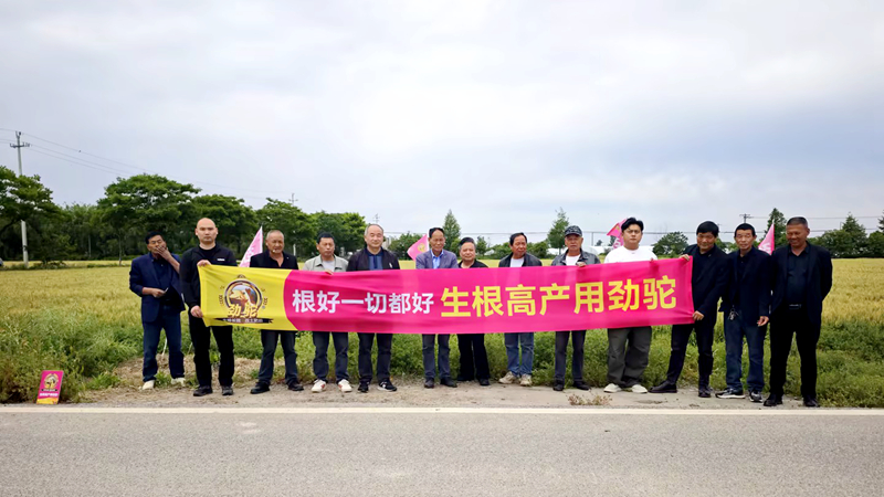嘉興浙農(nóng)禾豐組織召開勁駝小麥現(xiàn)場觀摩會