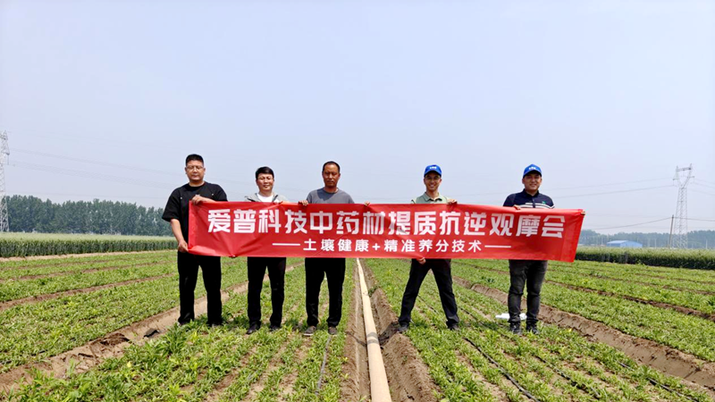 愛普科技舉辦中藥材觀摩會(huì) 科技賦能藥材健康生長