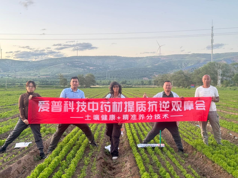 愛普科技在承德舉辦中藥材田間觀摩會